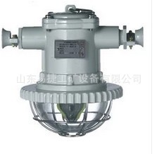 DGS 防爆巷道灯 LED隔爆灯 18w 矿用荧光灯 127v