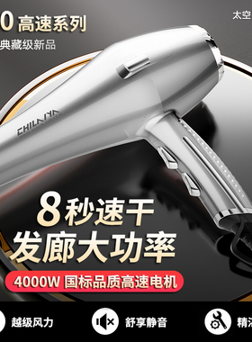 德国电吹风机家用大功率发廊专用理发店4000w负离子护发速干风筒