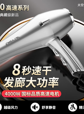德国电吹风机家用大功率发廊专用理发店4000w负离子护发速干风筒