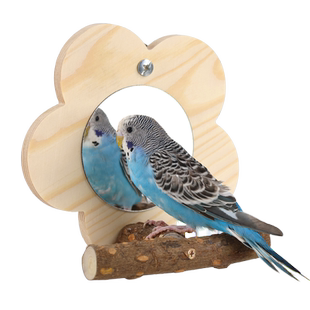 鹦鹉玩具魔法镜鸟笼玩具虎皮牡丹玄凤鹦鹉专用训练解压玩具配件