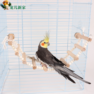 鹦鹉秋千吊环攀爬楼梯云梯鹦鹉玩具鸟秋千吊环鸟笼配件大全攀爬架