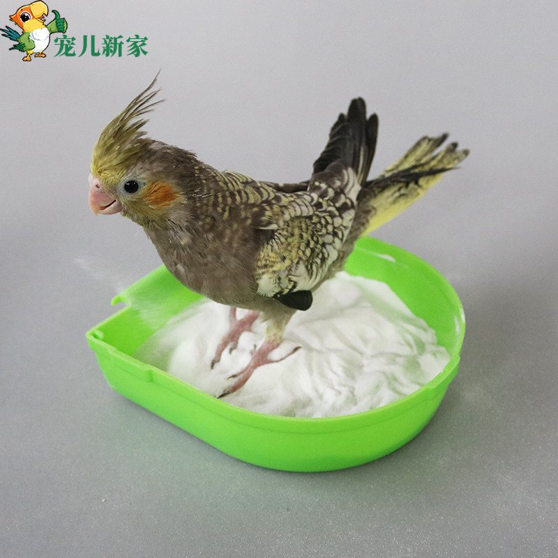 宠儿新家 鹦鹉沐浴砂500G 清洁沙洗澡沙 鸟儿洗澡 减少细菌和异味属于什么档次？
