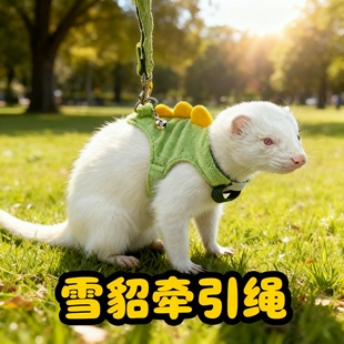 雪貂牵引绳狐獴外出防挣脱链子土拨鼠浣熊牵引链专用遛貂绳子背心