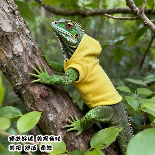 蜥蜴爬宠外出连帽衫衣服