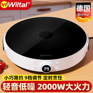 德国电磁炉家用小型迷你电热炉火锅用2025新款 大功率爆炒菜电池炉