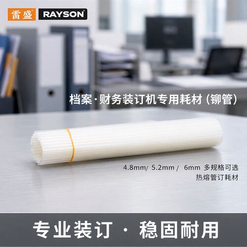 Rayson/雷盛财务凭证装订机铆管