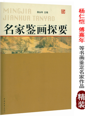 名家鉴画探要 薛永年中国古书画鉴定论著与研究概论全编傅申张珩谢稚柳徐邦达启功刘九庵杨仁恺名家讲怎样鉴赏与艺术史十二讲书籍