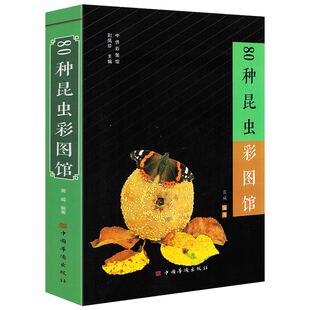 80种昆虫彩图馆 昆虫分类研究识别特征生活习性地区分布昆虫识别图鉴昆虫文化与鉴赏中国昆虫生态大图鉴大百科全书科普书籍