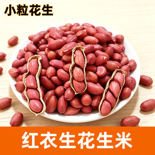 红花生米小粒生红花生豆