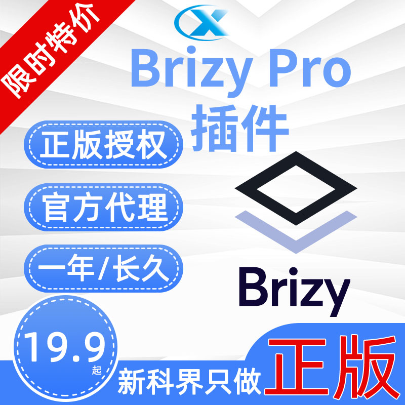 Brizy Pro高级版Wor设计素材/源文件