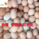 可孵化种蛋受精蛋可孵化小黄鸡散养鸡蛋土鸡蛋草鸡种蛋自然受精