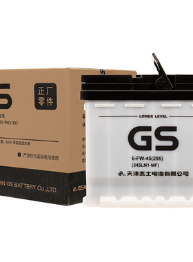 GS免维护LN1MF新能源辅助电池卡罗拉雷凌双擎混动以旧换新