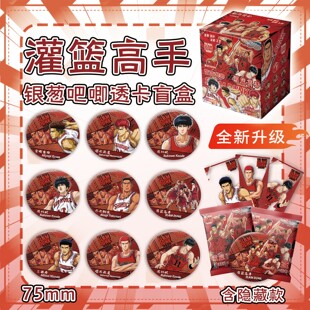 灌篮高手流川枫动漫银葱吧唧盲盒加透卡款徽章谷子马口铁徽章款