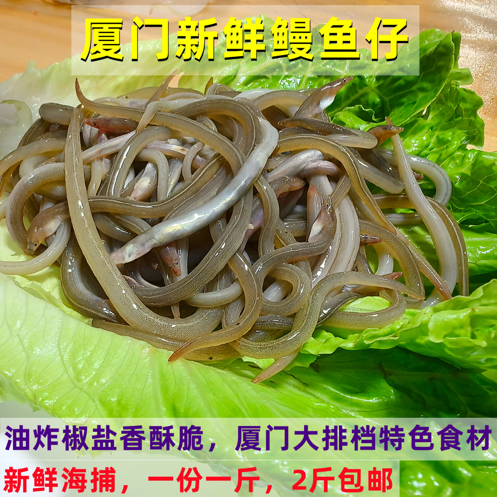 新鲜鳗鱼苗油炸鳗鱼苗椒盐鳗鱼仔厦门鳗鱼丝油筷鱼小沙鳗海鲜水产