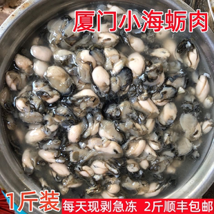 厦门小海蛎1斤装福建小海蛎现剥牡蛎肉生蚝海蛎煎蚵仔煎海鲜水产
