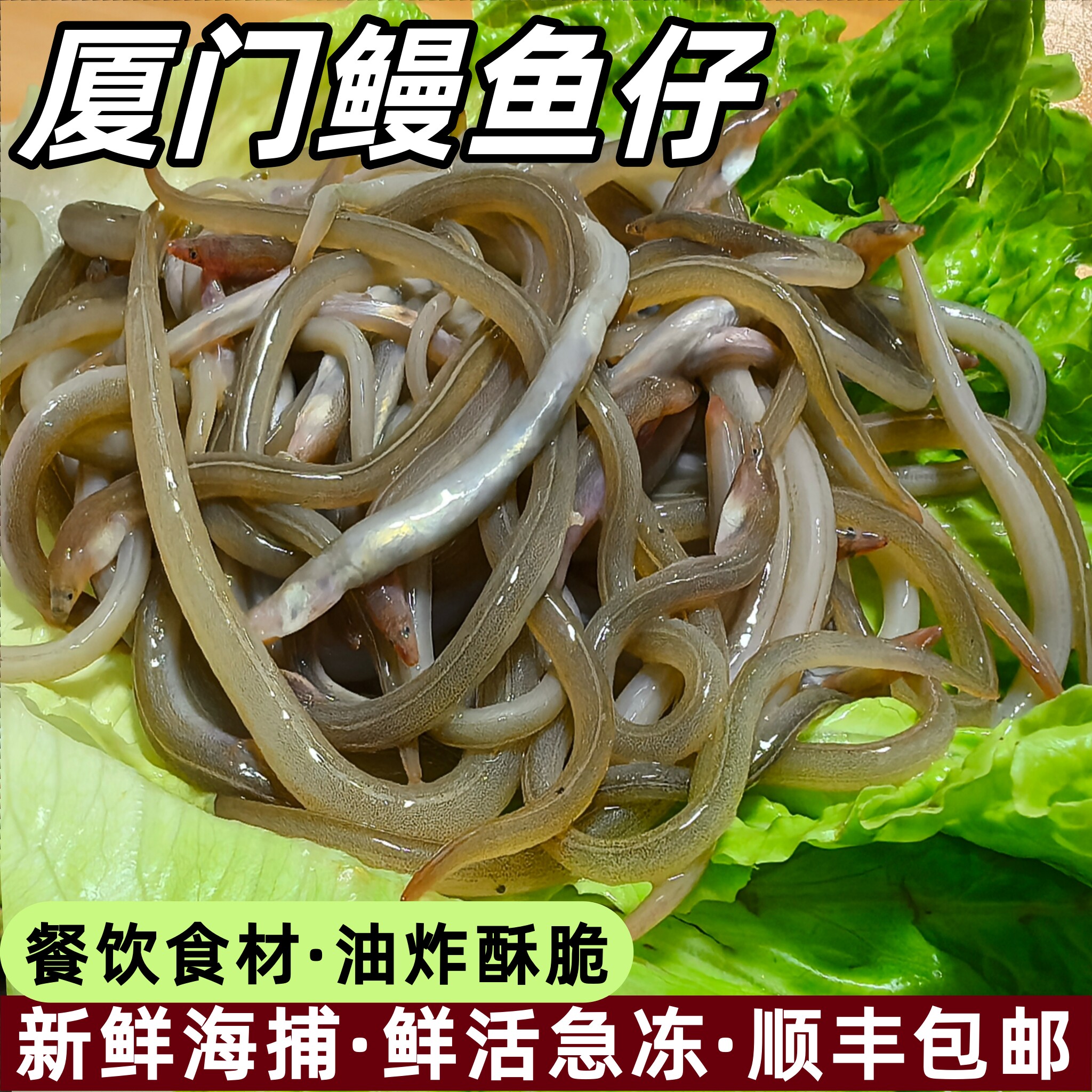 新鲜鳗鱼苗油炸鳗鱼苗椒盐鳗鱼仔厦门鳗鱼丝油筷鱼小沙鳗海鲜水产