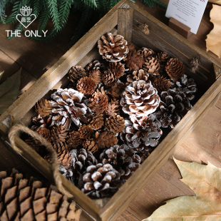 薇艺 松果原色自然风干干花花环圣诞树装饰鲜花花艺礼盒包装材料