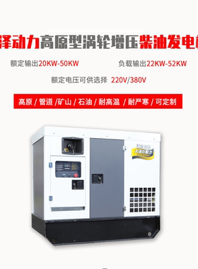 大泽动力高原款30KW柴油发电机 TO32000ET 应急用三相电 涡轮增压