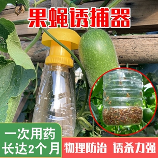 果蝇诱捕器捉蝇器蜂瓶诱粘涂剂果园昆虫诱蝇瓶果蝇性引诱剂捕蝇器