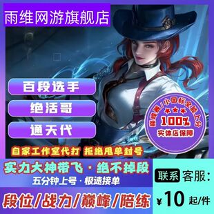 王者荣耀代打代练上分速刷战力排位大小国标