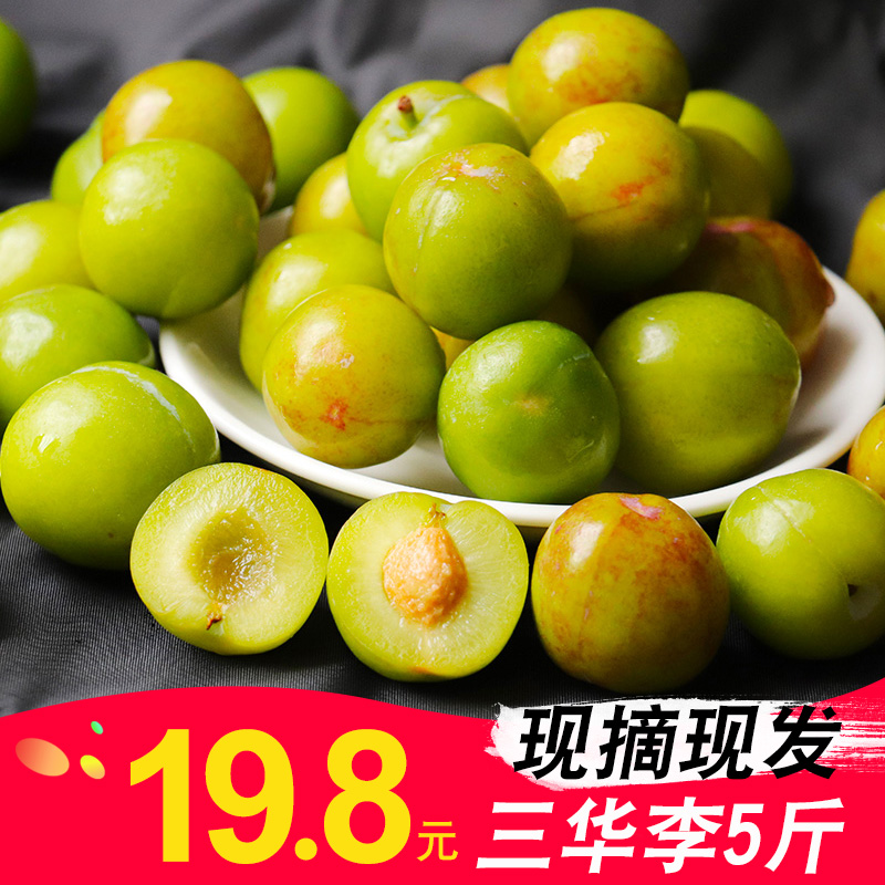 李憲強著