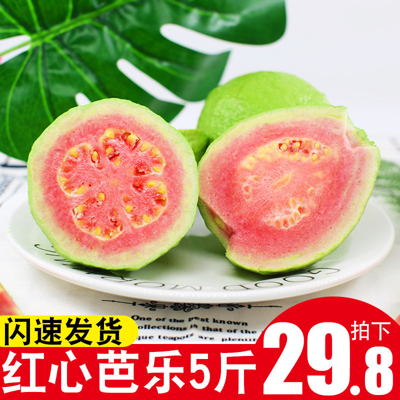【正常发货】红心芭乐番石榴5斤水果新鲜包邮巴当季整箱蕃潘石榴|ruв категории водной мясо/свежие фрукты и овощи/еда, свежие фрукты, гуава - от Buy2taobao.com для оказания профессиональной услуги покупки агента Taobao
