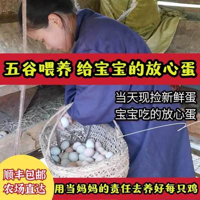 正宗散养土鸡蛋五谷喂养无公害皖南九华山山林新鲜土鸡蛋当天现捡