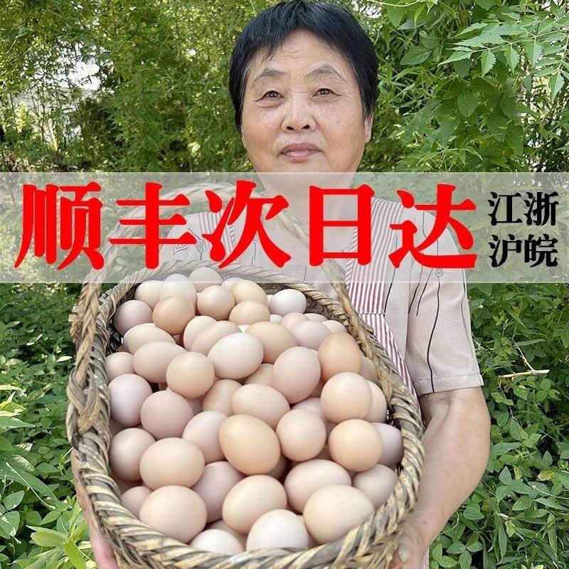 九华山土鸡蛋60枚正宗散养农家笨鸡蛋柴鸡蛋新鲜顺丰包邮次日农场