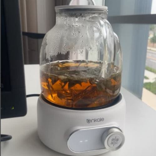 ankale全玻璃养生壶多功能家用办公室新款小型煮茶器烧水壶花茶壶