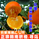 包邮 江西正宗赣南脐橙20斤寻乌甜橙子孕妇当季 新鲜水果赣州手剥橙