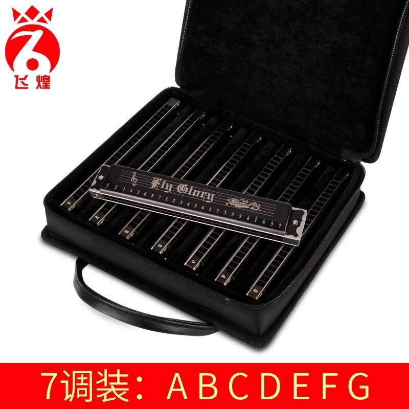 飞煌24孔复音7调/12调口琴德国进口音簧成人准专业高级演奏级套装