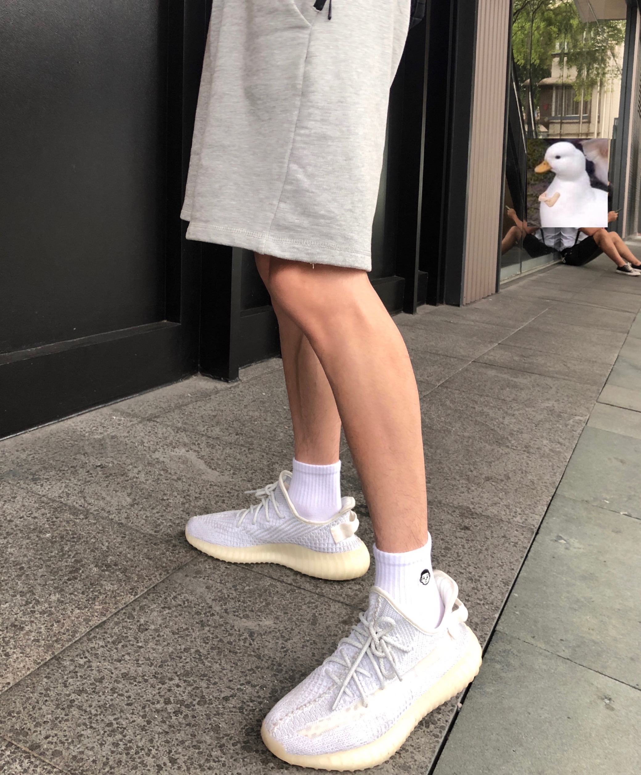 kocean男士夏季短筒中筒可爱图案