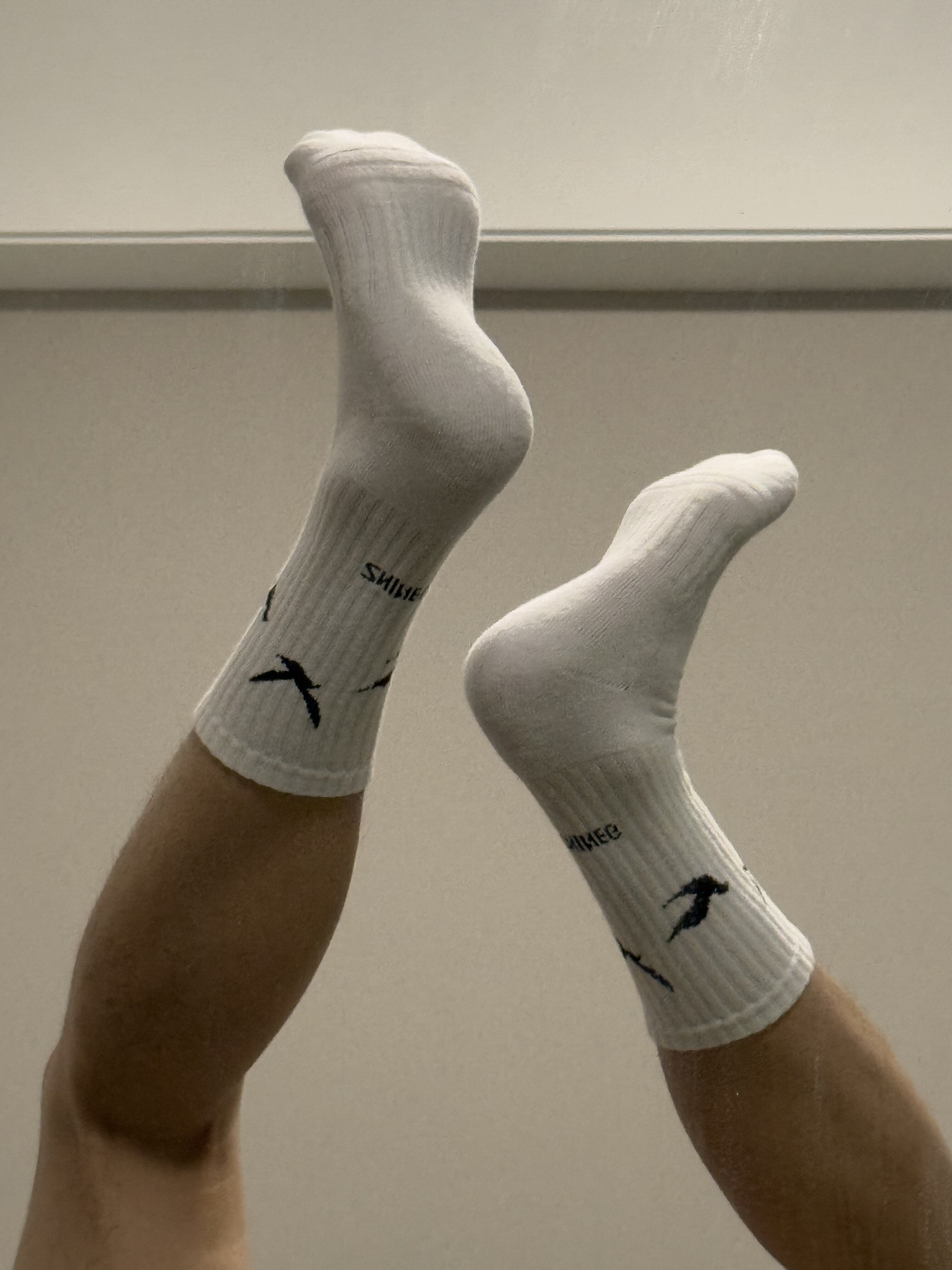 男中筒纯棉毛巾底吸汗透气运动海鸥图案学院风中性百搭白袜Kocean