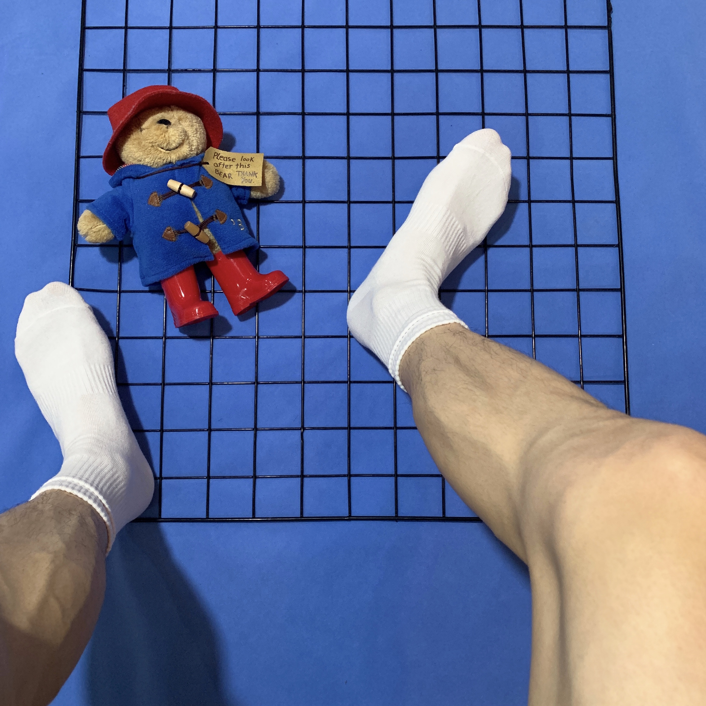 kocean男士纯白素色中筒性感白袜