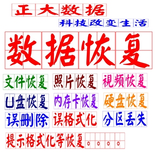 电脑移动硬盘U盘内存sd卡维修照片文件数据恢复开盘MAC系数据恢复