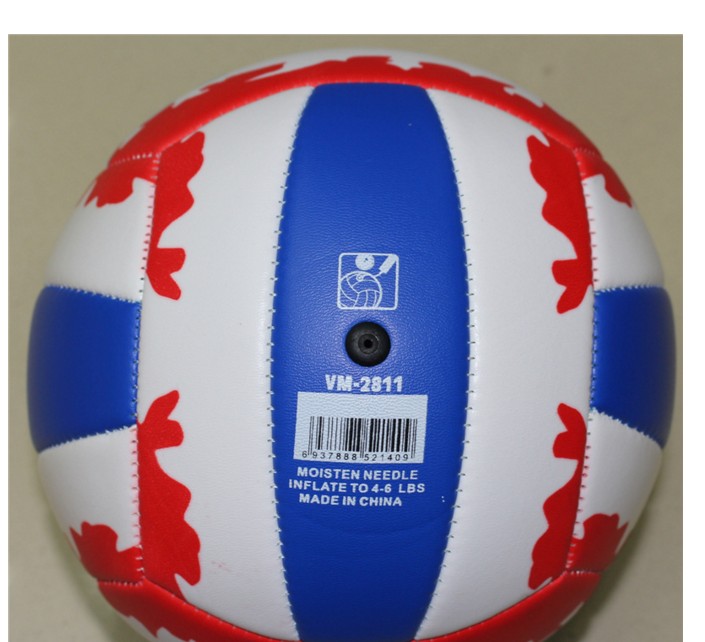 Ballon de volley-ball - Ref 2010452 Image 3