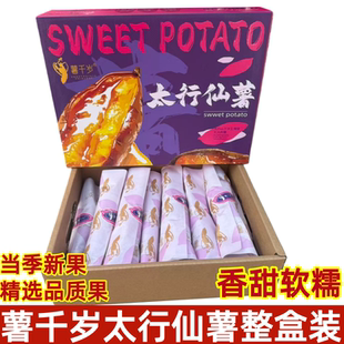 薯千岁太行仙薯地瓜红薯番薯山芋蒸煮烤粗粮当季时令红瑶蜜薯