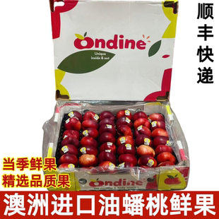 澳大利亚进口油蟠桃油蜜桃子新鲜水果脆甜香味浓郁顺丰快递