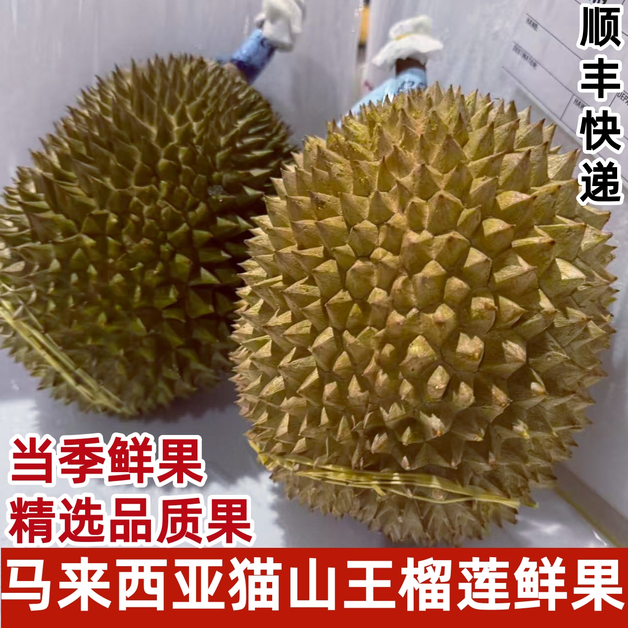 猫山王榴莲马来西亚D197树上熟榴莲鲜果新鲜当季水果顺丰快递