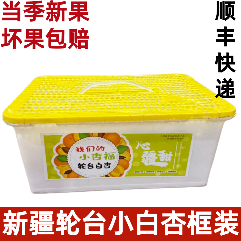 新疆轮台小白杏当季时令新鲜水果库车杏3斤框装顺丰外包装随机发