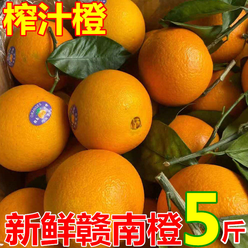 正宗赣南脐橙江西赣州当季新鲜手剥甜橙子精选时令水果鲜嫩多汁,水产肉类/新鲜蔬果/熟食,橙,淘宝优惠券,粉丝福利购,淘宝优惠卷