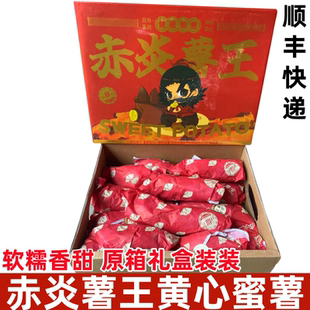 新货赤炎薯王黄心蜜薯5斤礼盒装蒸煮烤食用红薯山芋新鲜地瓜番薯