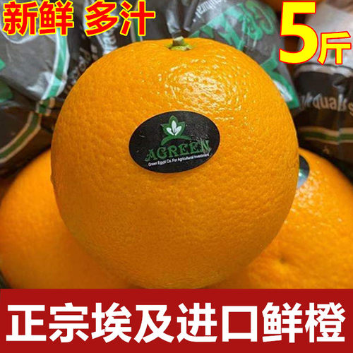 进口冷藏9埃及新鲜多汁