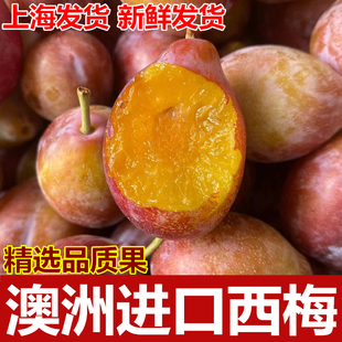 澳洲进口西梅法兰西西梅时令新鲜布林李子孕妇水果4斤包邮
