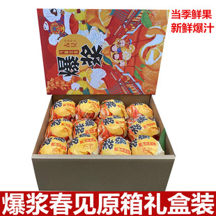 春见耙耙柑整箱7斤四川柑橘当季时令新鲜水果爆汁礼盒装水果