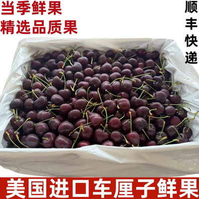 樱桃新鲜车厘子美味多汁