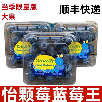 怡颗莓蓝莓新鲜脆甜好吃