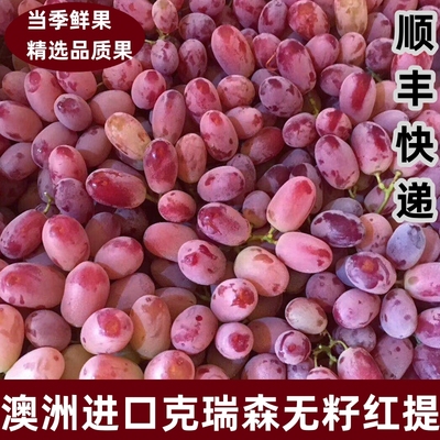 无籽红提脆甜多汁新鲜水果