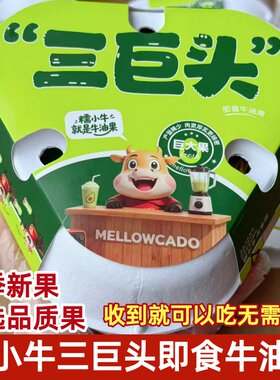 糯小牛三巨头即食牛油果鳄梨新鲜水果当季时令鳄梨3个大果顺丰
