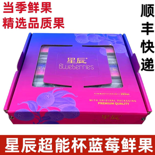 云南星辰L25花香蓝莓小懒杯水果脆甜蓝莓鲜果超能杯9杯礼盒装 顺丰